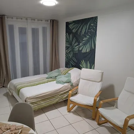 Studio 1 Cannes 20' Walk Palais Wifi